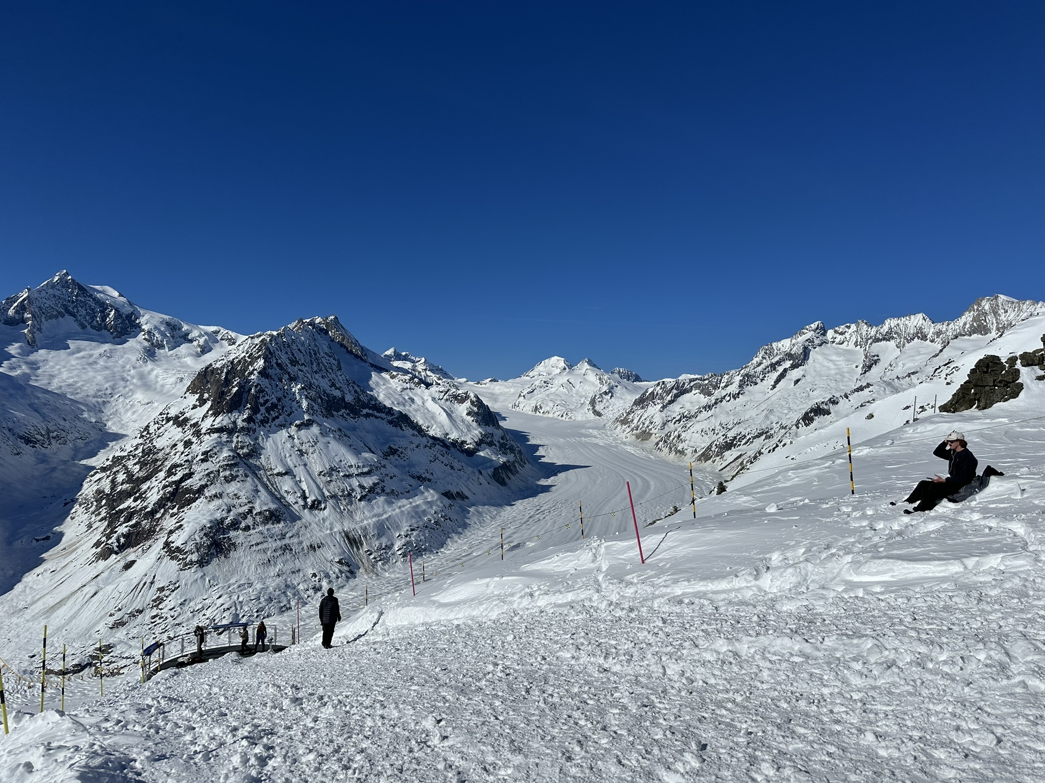 Aletsch Glacier view near Eggishorn