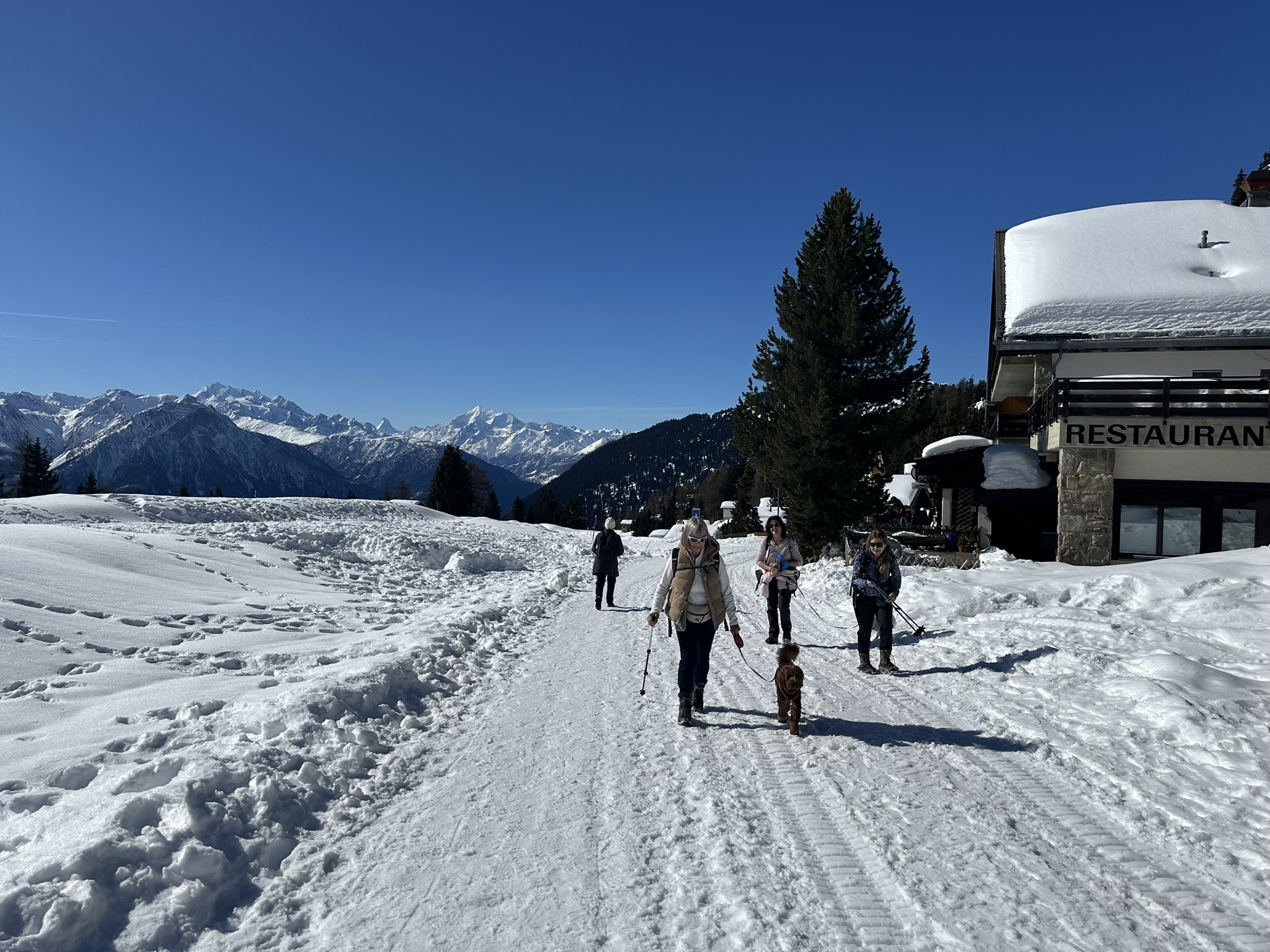 Winter trail near Riederalp