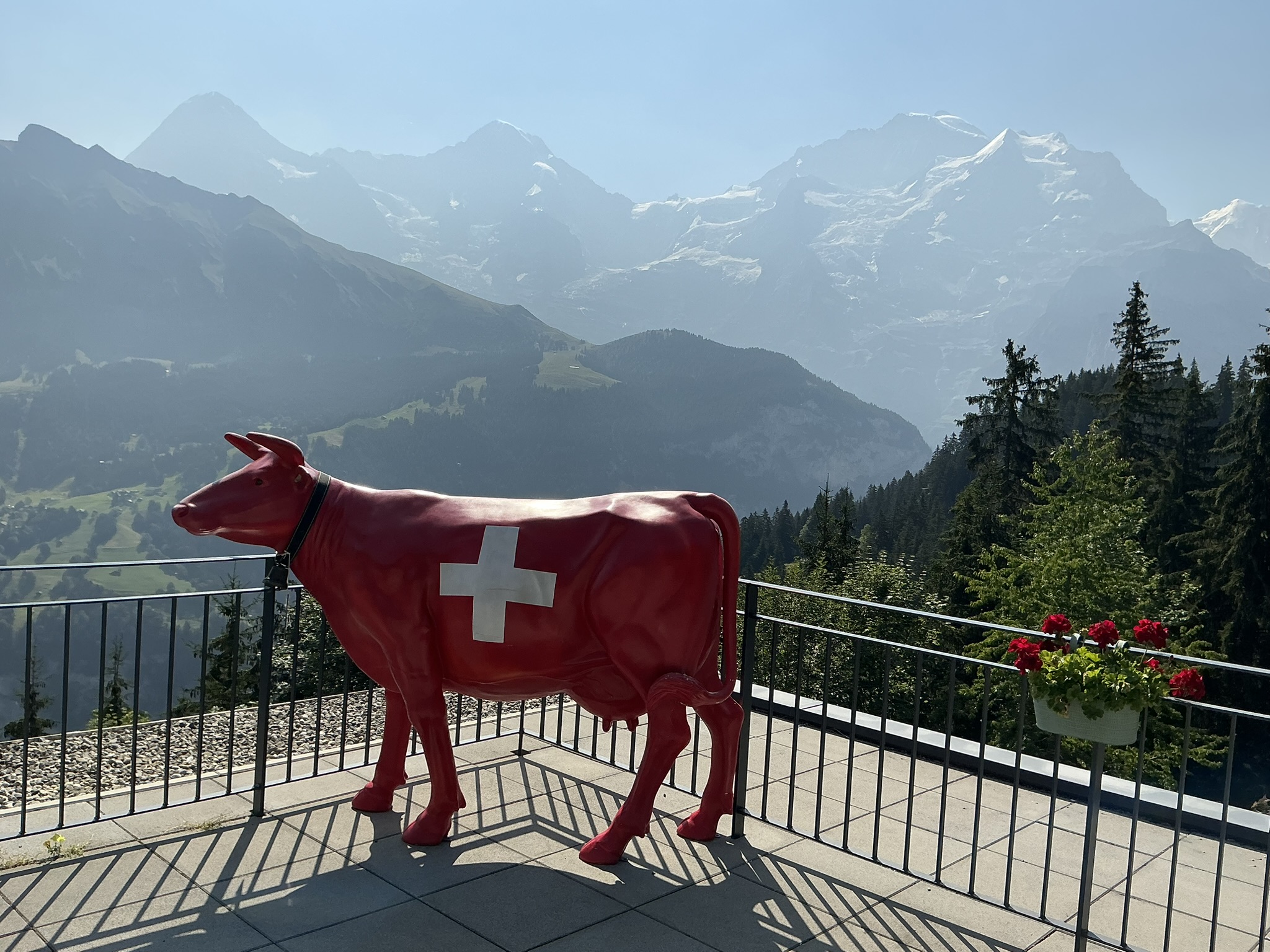Grütschalp Mürren Gimmelwald Stechelberg