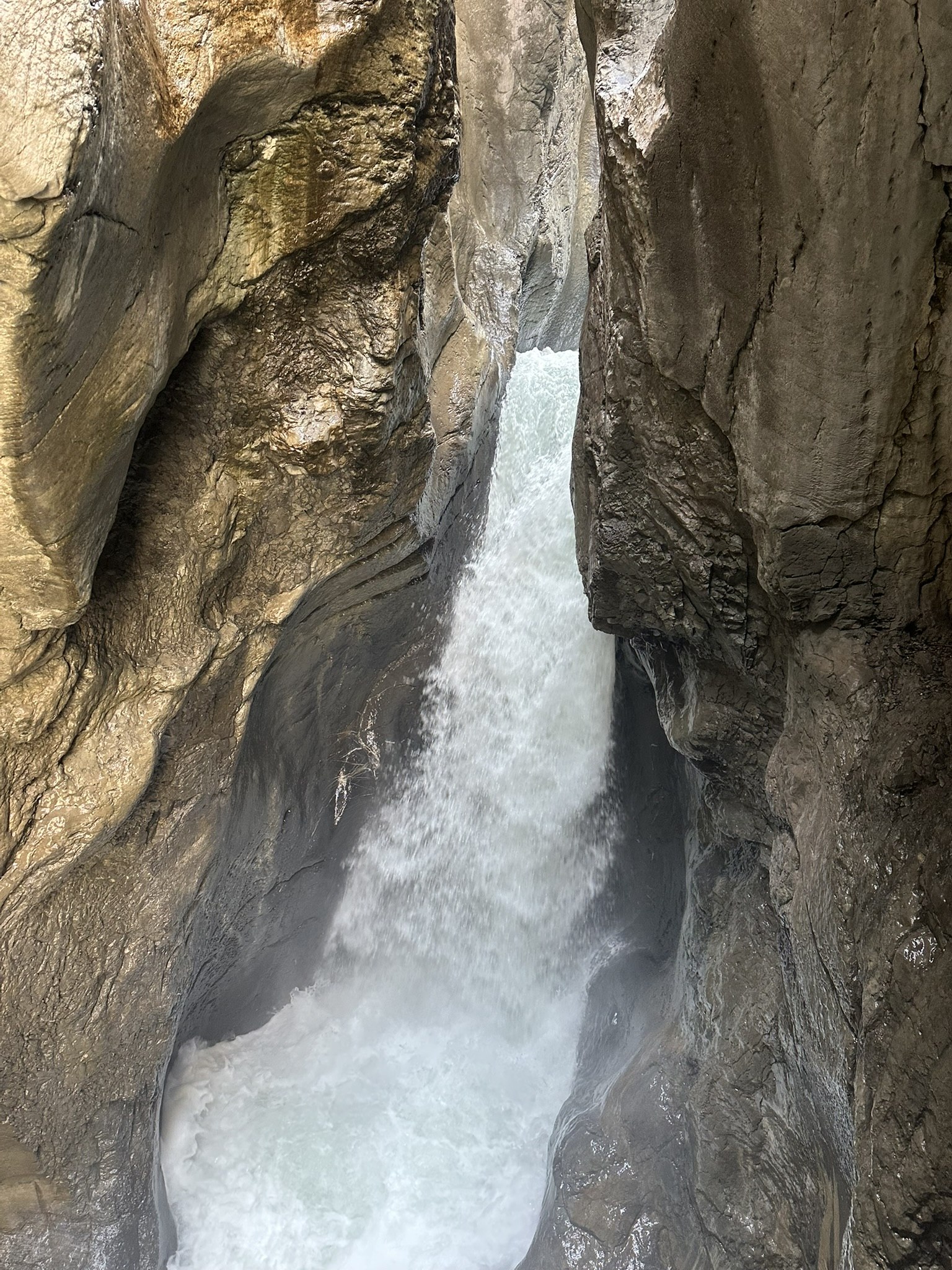 Inside Rosenlaui Glacier Gorge