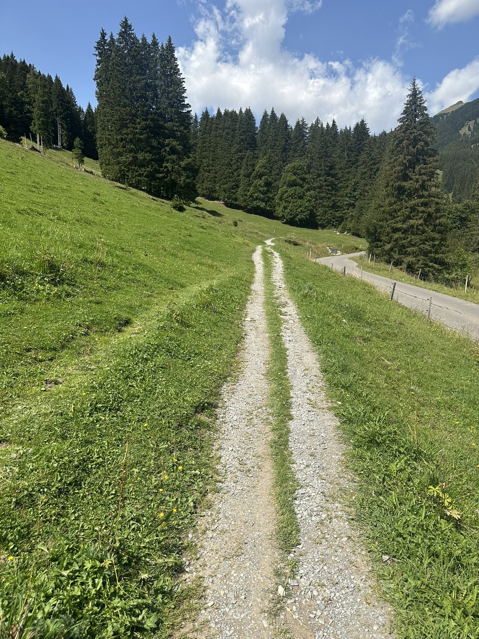 Sunny alpine section